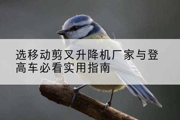 尼木电动升降机厂家-选移动剪叉升降机厂家与登高车必看实用指南