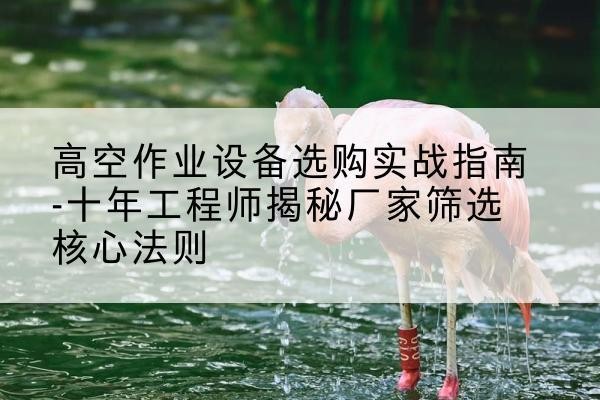 尼木剪叉式升降机厂家-高空作业设备选购实战指南-十年工程师揭秘厂家筛选核心法则