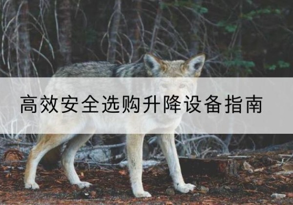 尼木升降货梯厂家推荐-*安全选购升降设备指南