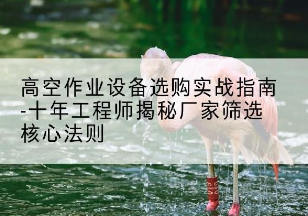 尼木剪叉式升降机厂家-高空作业设备选购实战指南-十年工程师揭秘厂家筛选核心法则